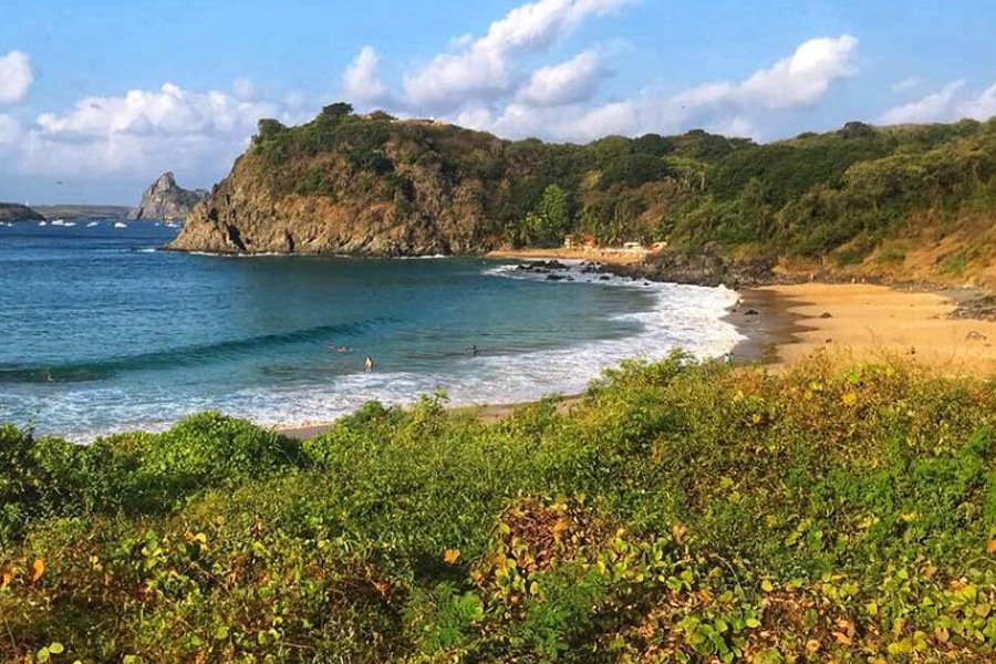 Praia do Cachorro